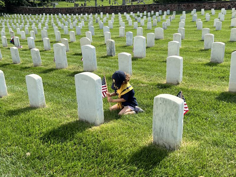 Flags placed at Alexandria National Cemetery in Alexandria, Virginia with the help of the National Capitol Area Council scouts in honor of fallen servicemembers.