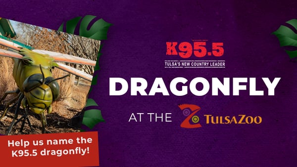 Help Us Name K95.5′s Dragonfly At The Tulsa Zoo!