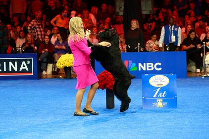 National Dog Show