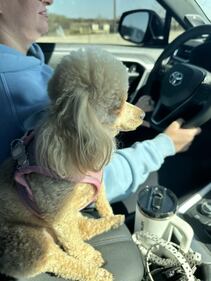 Check out all the photos of your dogs that you sent us on National Dog Day!